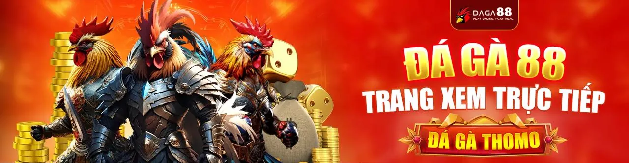 Đá Gà Trực Tuyến Hấp Dẫn tại 555win